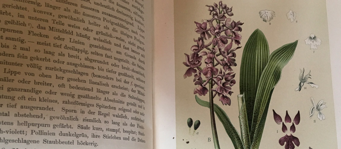 Biblioteca naturalistica