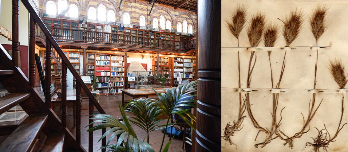Biblioteca naturalistica