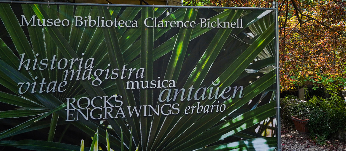 Bicknell