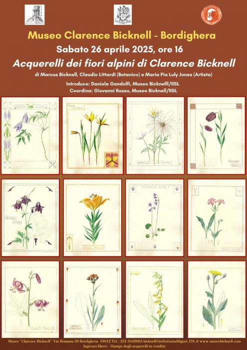 Acquerelli dei fiori alpini di Clarence Bicknell